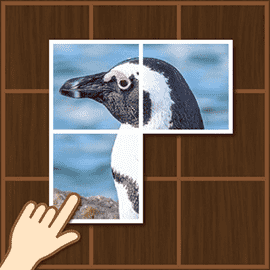 パズルゲーム|ぴったりフォトグラフ