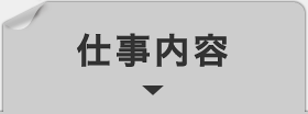 遊び方